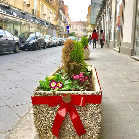 Casanova - Indipendent Luxury *